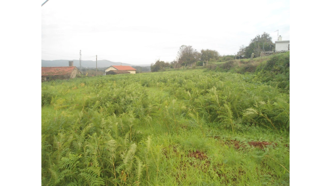 Quinta T0 para Venda em Gondarem Foto 7