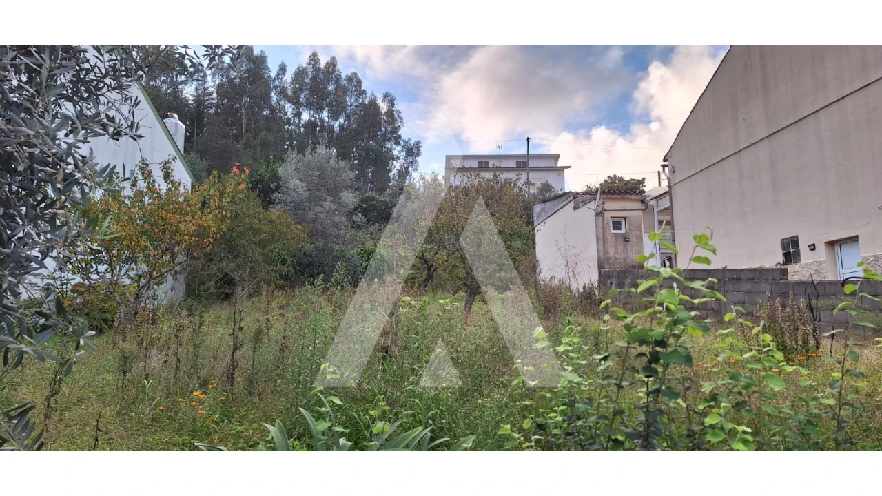 Terreno para Venda em Eiras e São Paulo de Frades Foto 2