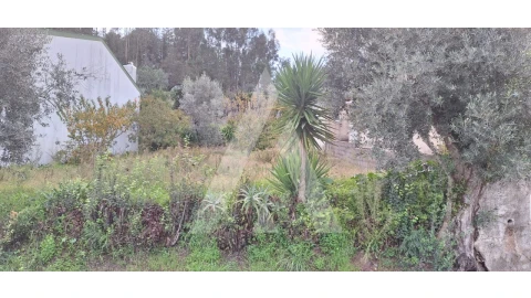 Terreno para Venda em Eiras e São Paulo de Frades
