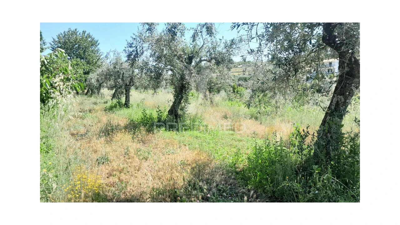 Moradia T3 para Venda em Souto da Casa Foto 20