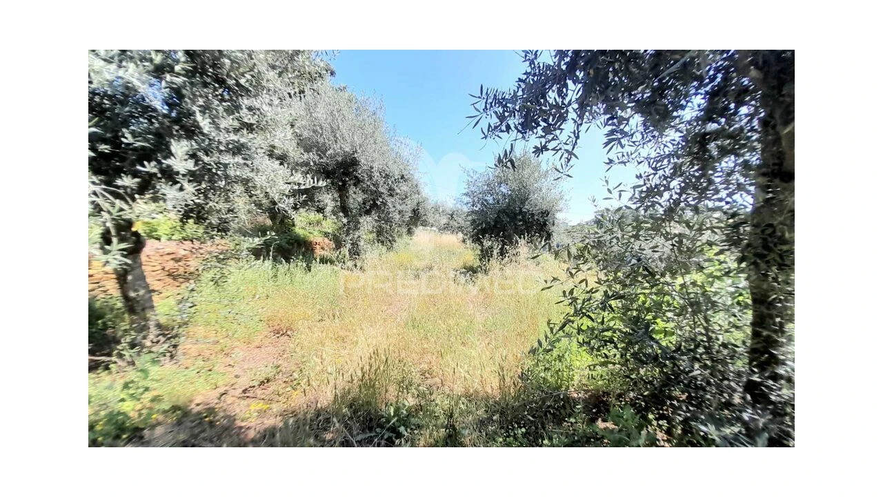 Moradia T3 para Venda em Souto da Casa Foto 15