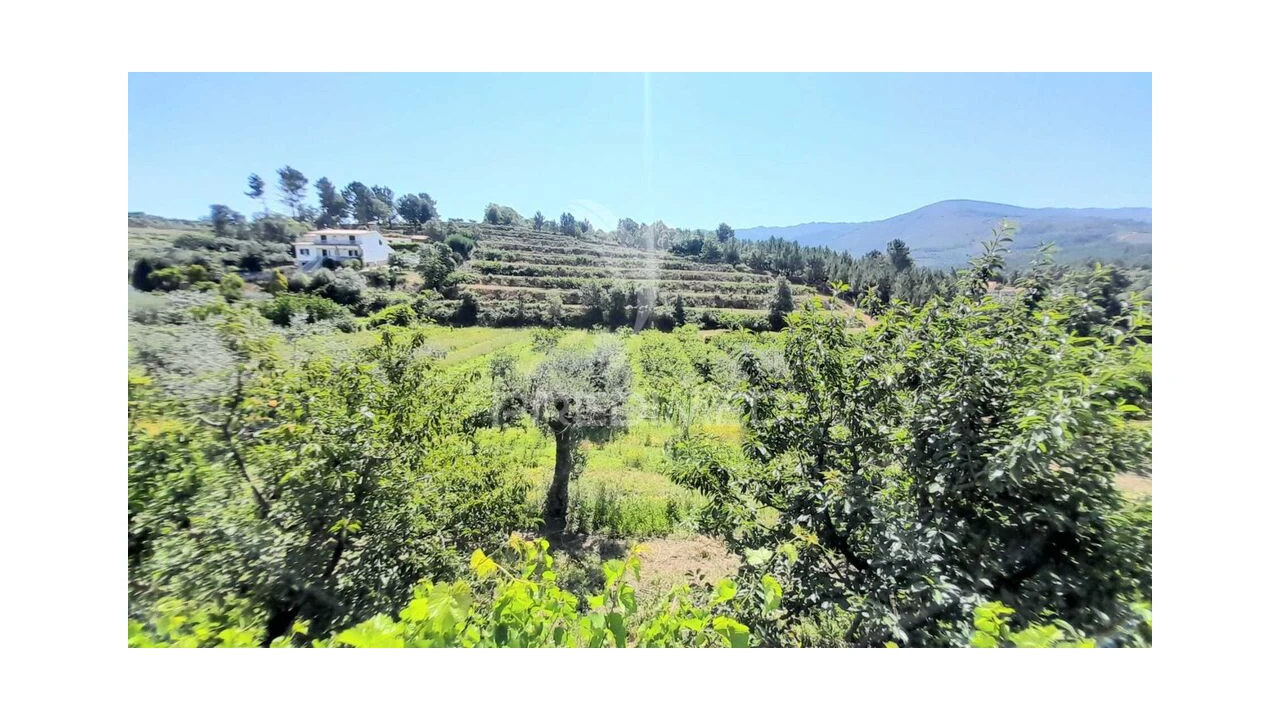 Moradia T3 para Venda em Souto da Casa Foto 18