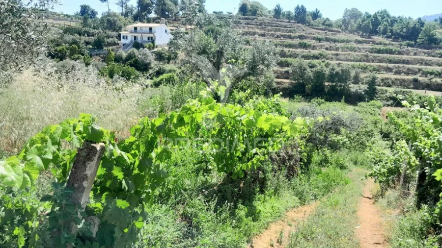 Moradia T3 para Venda em Souto da Casa Foto 17