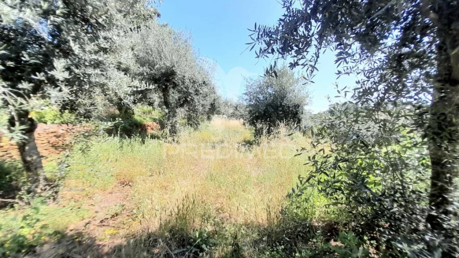 Moradia T3 para Venda em Souto da Casa Foto 15