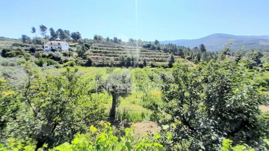 Moradia T3 para Venda em Souto da Casa Foto 18