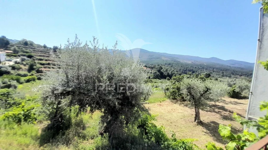 Moradia T3 para Venda em Souto da Casa Foto 12