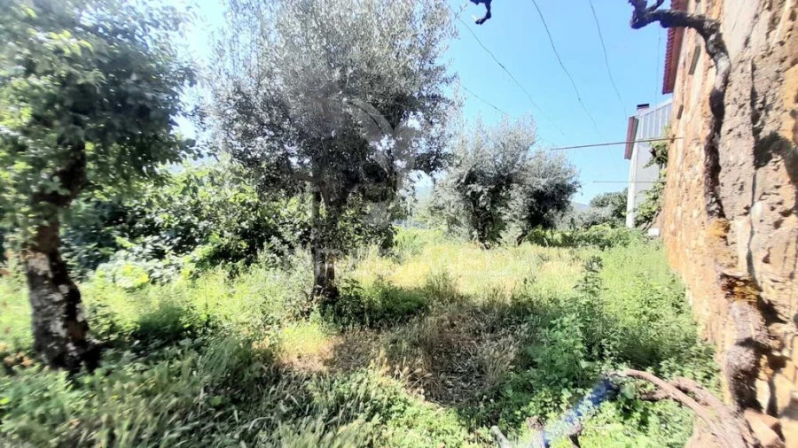 Moradia T3 para Venda em Souto da Casa Foto 14