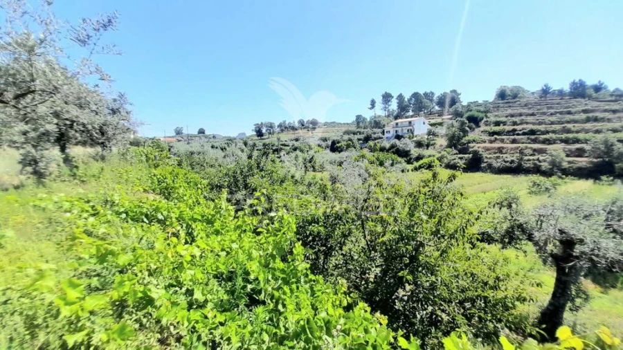 Moradia T3 para Venda em Souto da Casa Foto 19