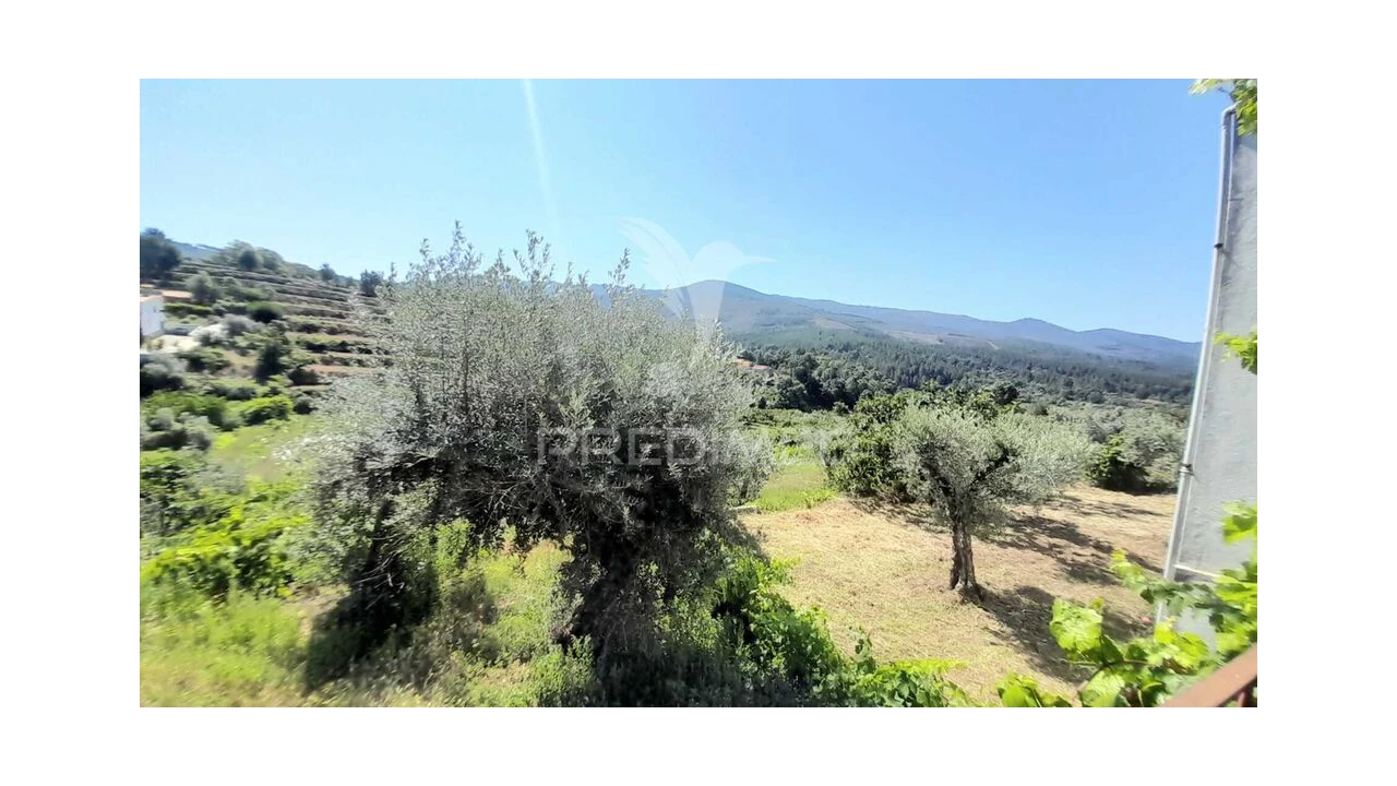 Moradia T3 para Venda em Souto da Casa Foto 12