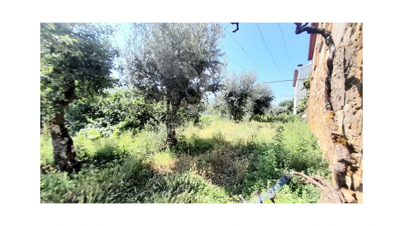 Moradia T3 para Venda em Souto da Casa Foto 14