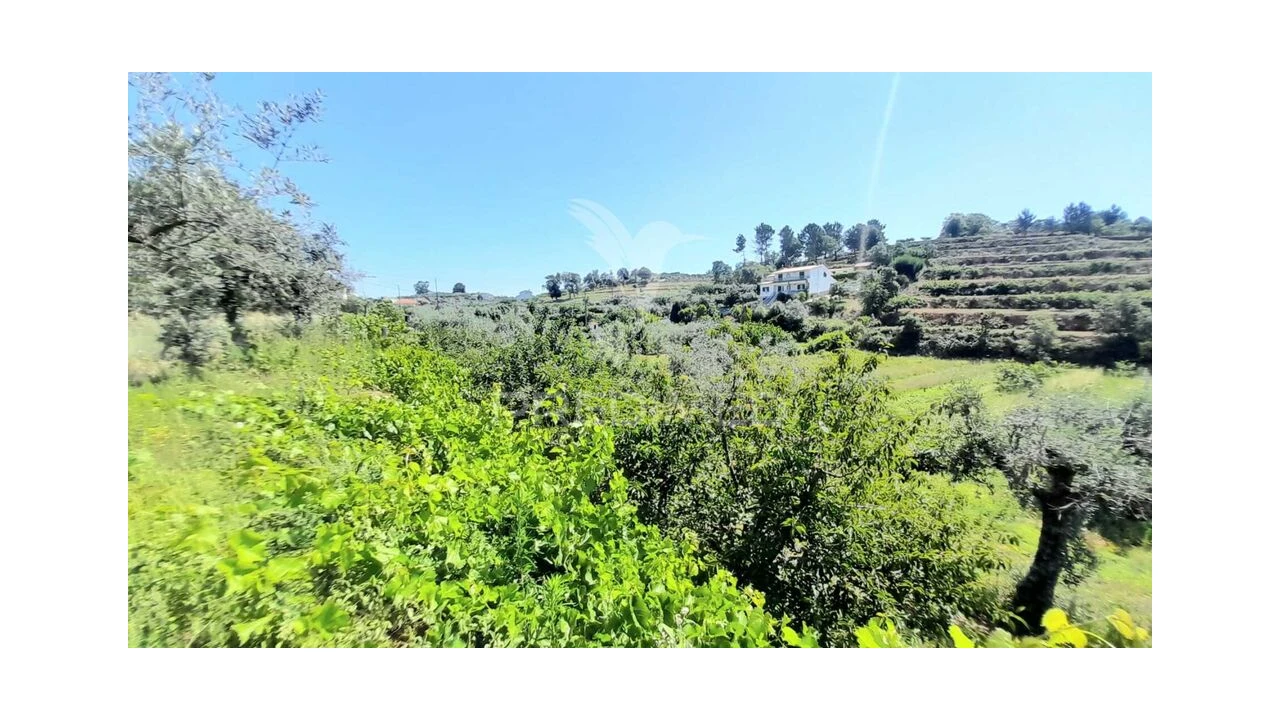 Moradia T3 para Venda em Souto da Casa Foto 19