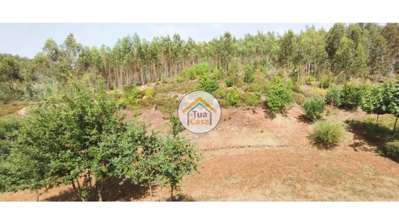 Quinta T3 para Venda em Ovoa e Vimieiro Foto 14