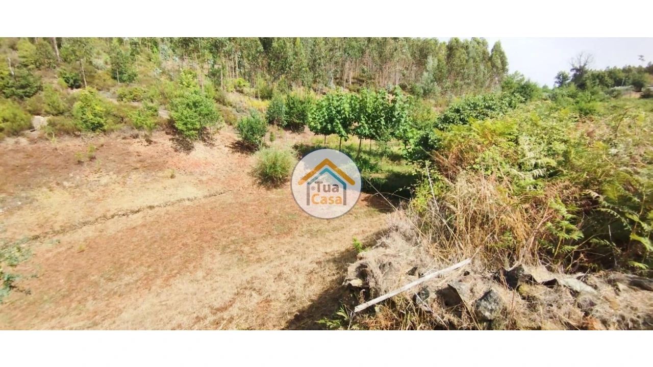 Quinta T3 para Venda em Ovoa e Vimieiro Foto 18