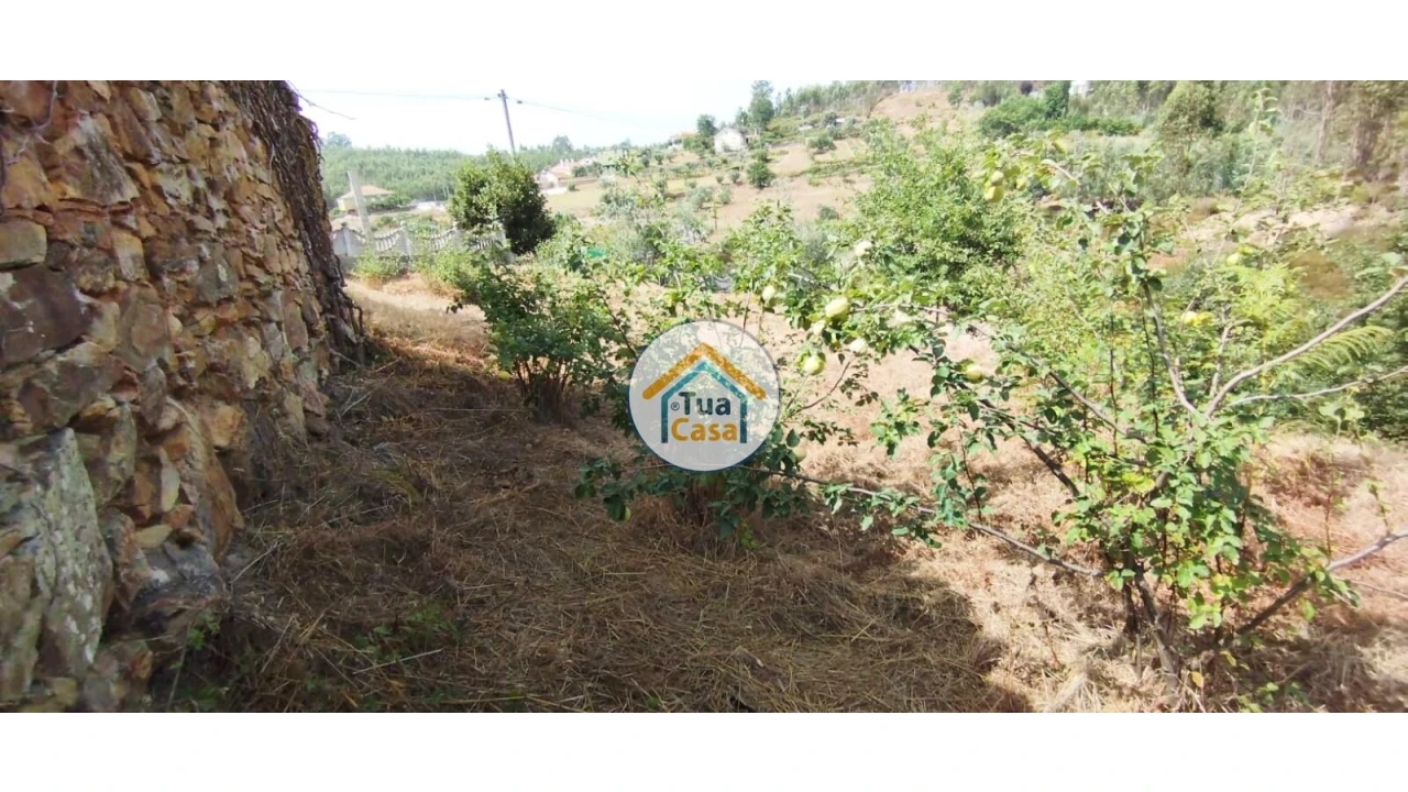 Quinta T3 para Venda em Ovoa e Vimieiro Foto 21