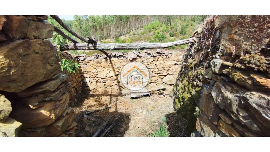 Quinta T3 para Venda em Ovoa e Vimieiro Foto 22
