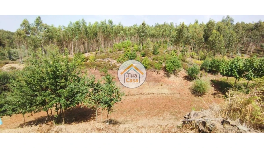 Quinta T3 para Venda em Ovoa e Vimieiro Foto 20