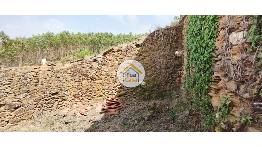 Quinta T3 para Venda em Ovoa e Vimieiro Foto 34