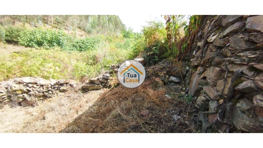 Quinta T3 para Venda em Ovoa e Vimieiro Foto 24