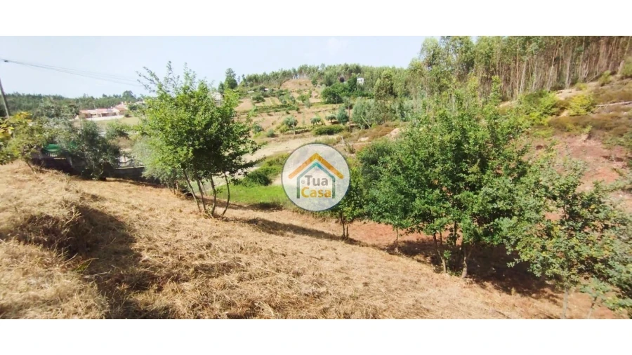 Quinta T3 para Venda em Ovoa e Vimieiro Foto 13