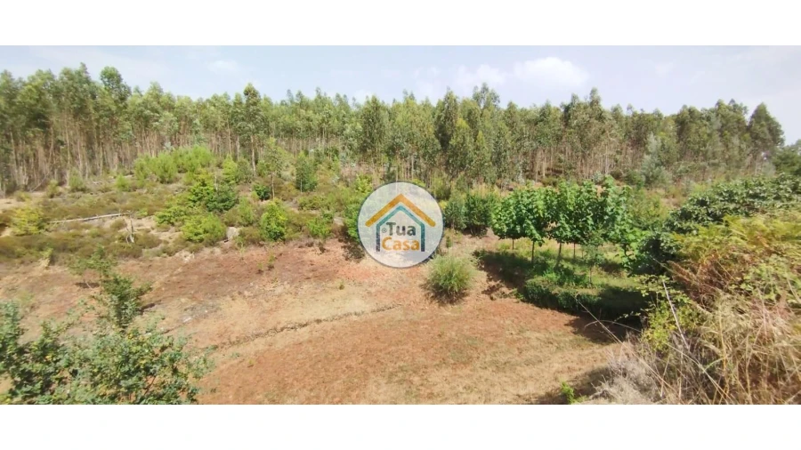 Quinta T3 para Venda em Ovoa e Vimieiro Foto 15