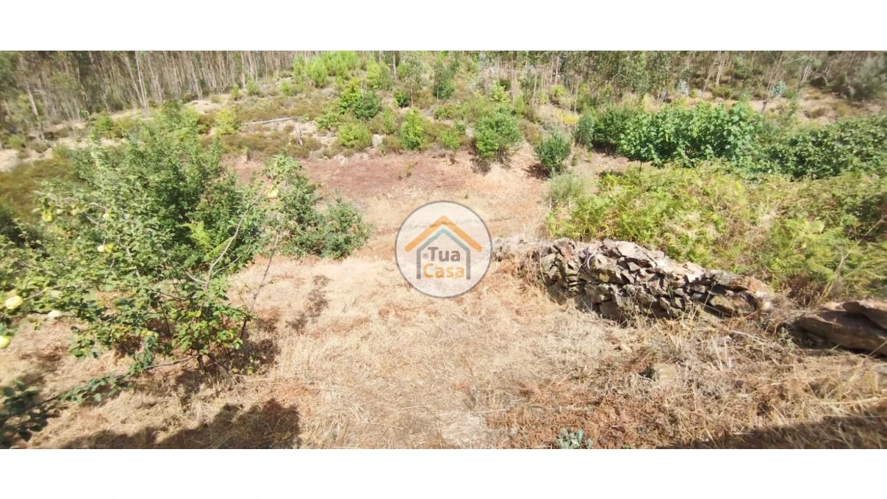 Quinta T3 para Venda em Ovoa e Vimieiro Foto 17