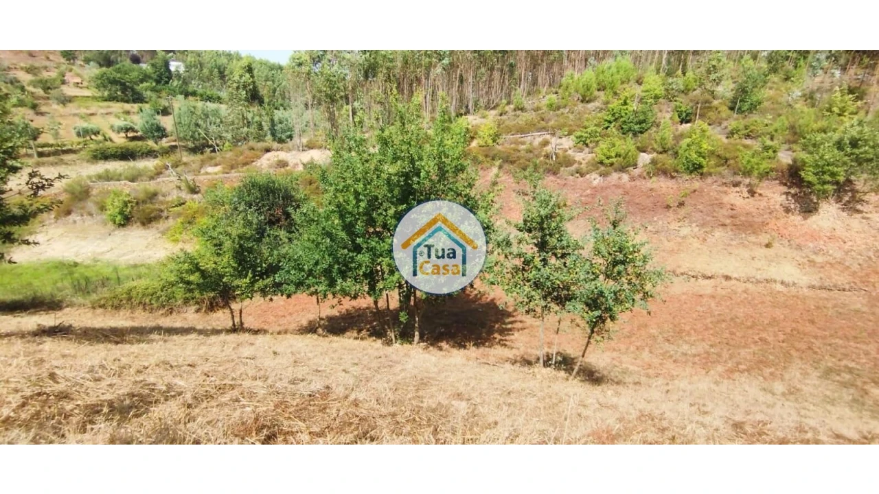 Quinta T3 para Venda em Ovoa e Vimieiro Foto 7