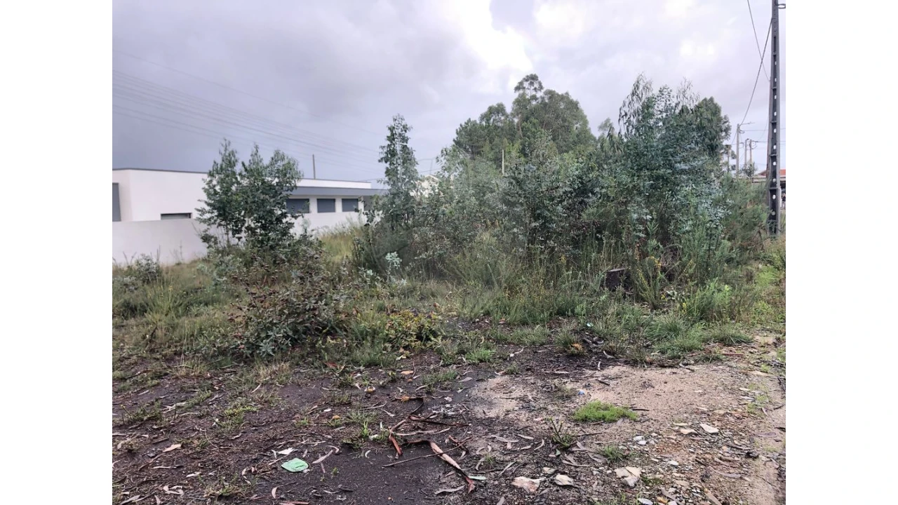 Terreno para Venda em São Miguel do Souto e Mosteirô Foto 6