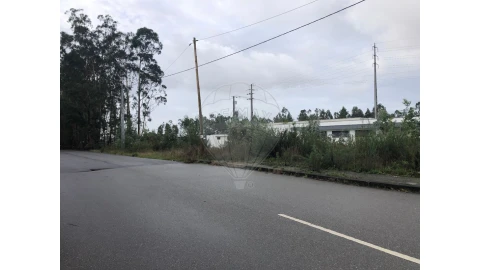 Terreno para Venda em São Miguel do Souto e Mosteirô