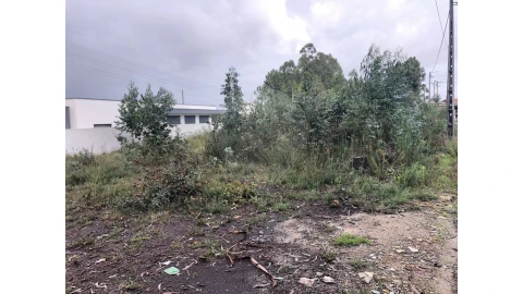 Terreno para Venda em São Miguel do Souto e Mosteirô