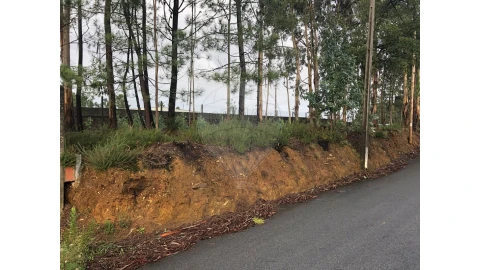 Terreno para Venda em São Miguel do Souto e Mosteirô