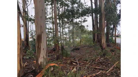 Terreno para Venda em São Miguel do Souto e Mosteirô