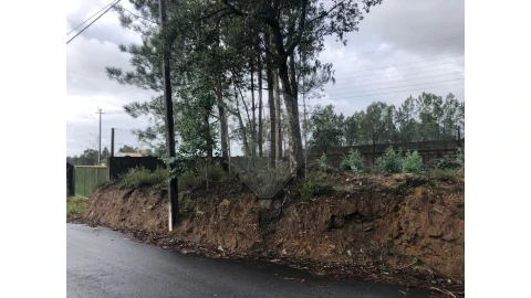 Terreno para Venda em São Miguel do Souto e Mosteirô