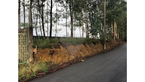 Terreno para Venda em São Miguel do Souto e Mosteirô