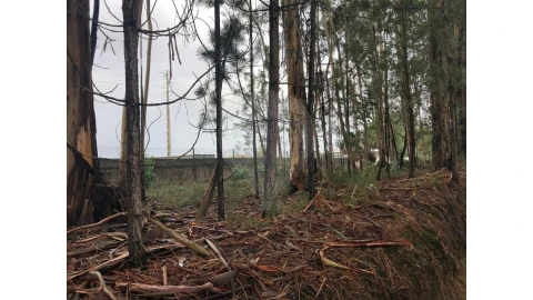 Terreno para Venda em São Miguel do Souto e Mosteirô