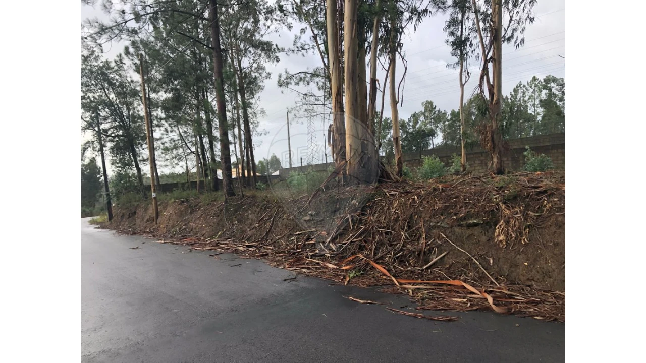 Terreno para Venda em São Miguel do Souto e Mosteirô Foto 9