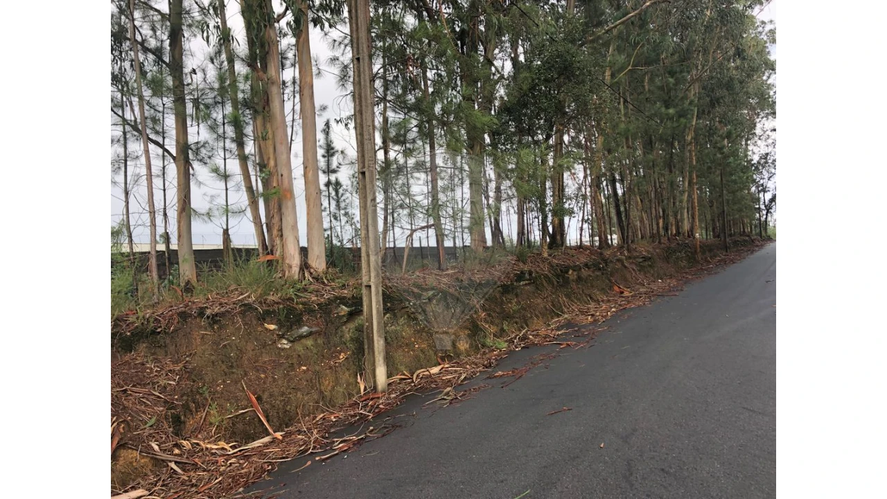 Terreno para Venda em São Miguel do Souto e Mosteirô Foto 10