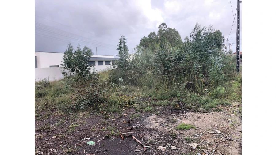 Terreno para Venda em São Miguel do Souto e Mosteirô Foto 6