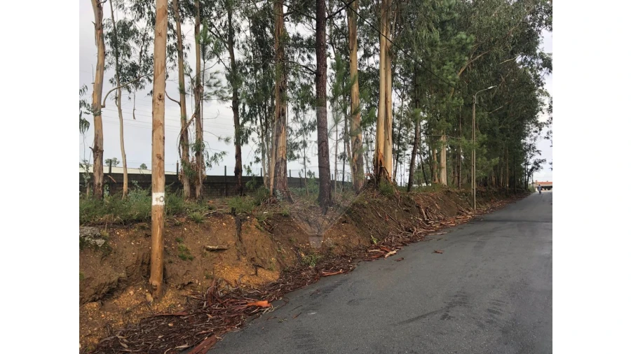 Terreno para Venda em São Miguel do Souto e Mosteirô Foto 11