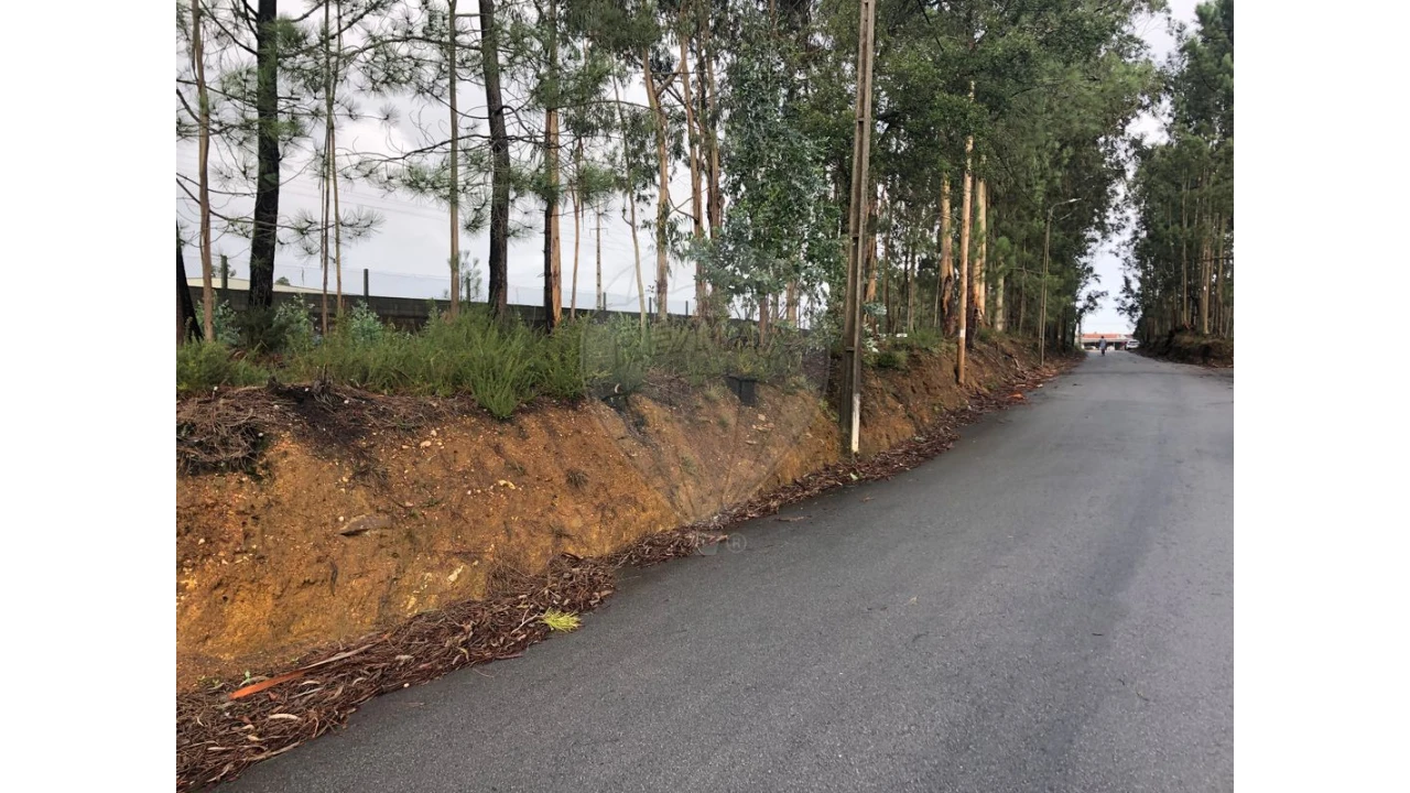 Terreno para Venda em São Miguel do Souto e Mosteirô Foto 12