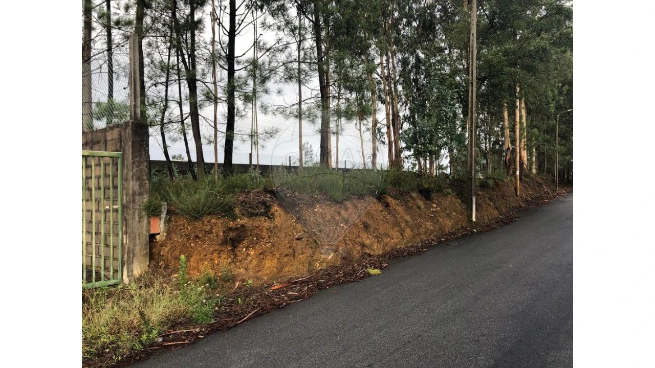 Terreno para Venda em São Miguel do Souto e Mosteirô Foto 14