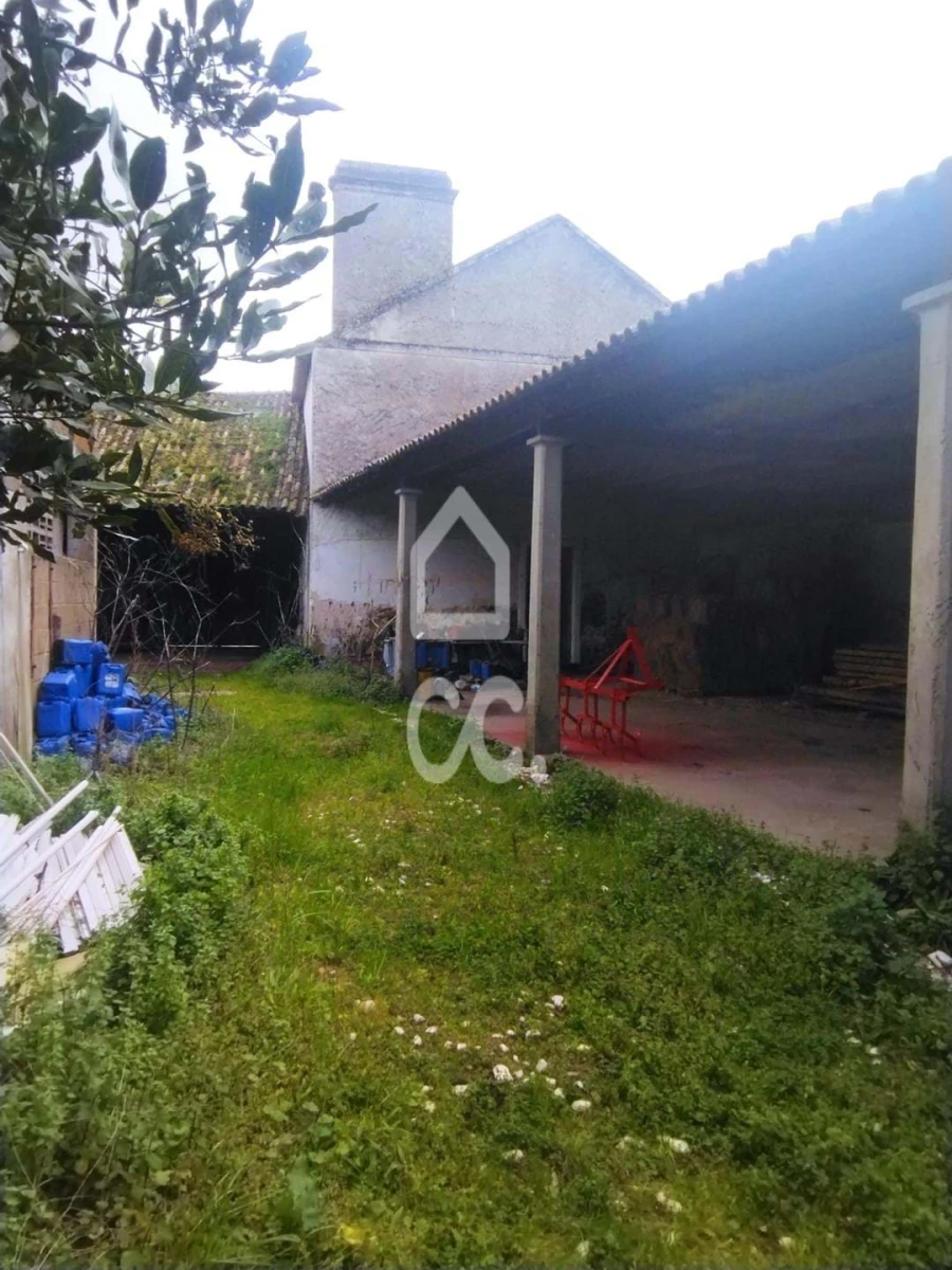 Quinta T5 para Venda em Monte Real e Carvide Foto 4