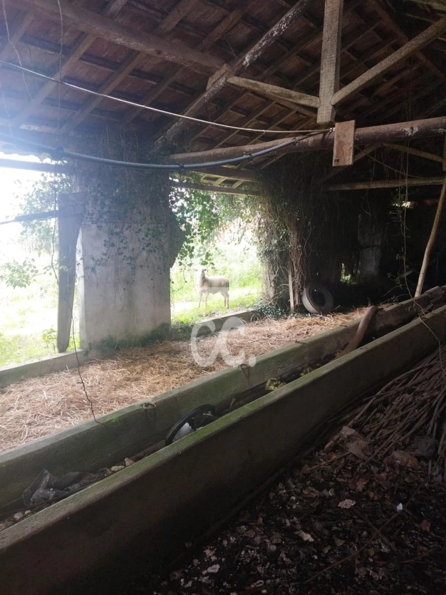 Quinta T5 para Venda em Monte Real e Carvide Foto 8