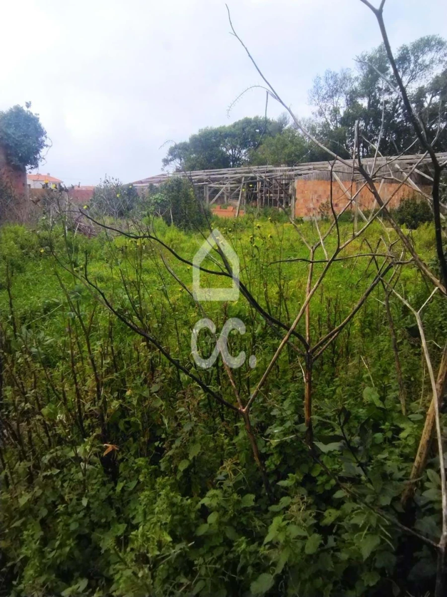 Quinta T5 para Venda em Monte Real e Carvide Foto 2