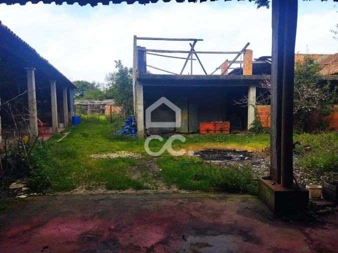 Quinta T5 para Venda em Monte Real e Carvide Foto 10