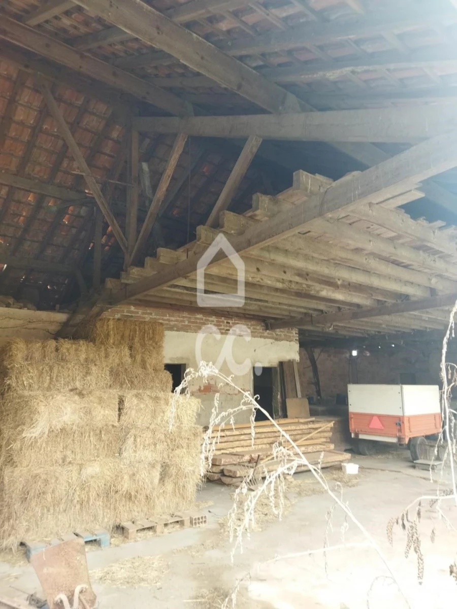 Quinta T5 para Venda em Monte Real e Carvide Foto 7