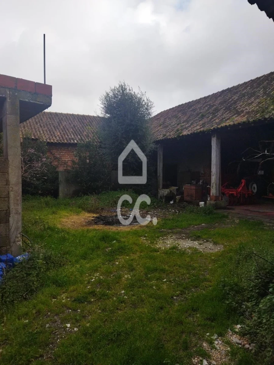 Quinta T5 para Venda em Monte Real e Carvide Foto 5