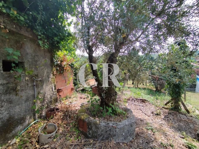 Moradia T3 para Venda em Castanheira de Pêra e Coentral Foto 57