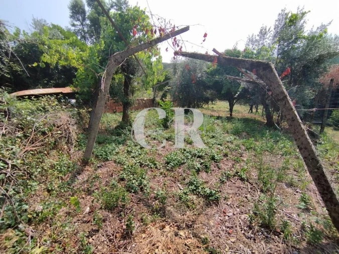 Moradia T3 para Venda em Castanheira de Pêra e Coentral Foto 52