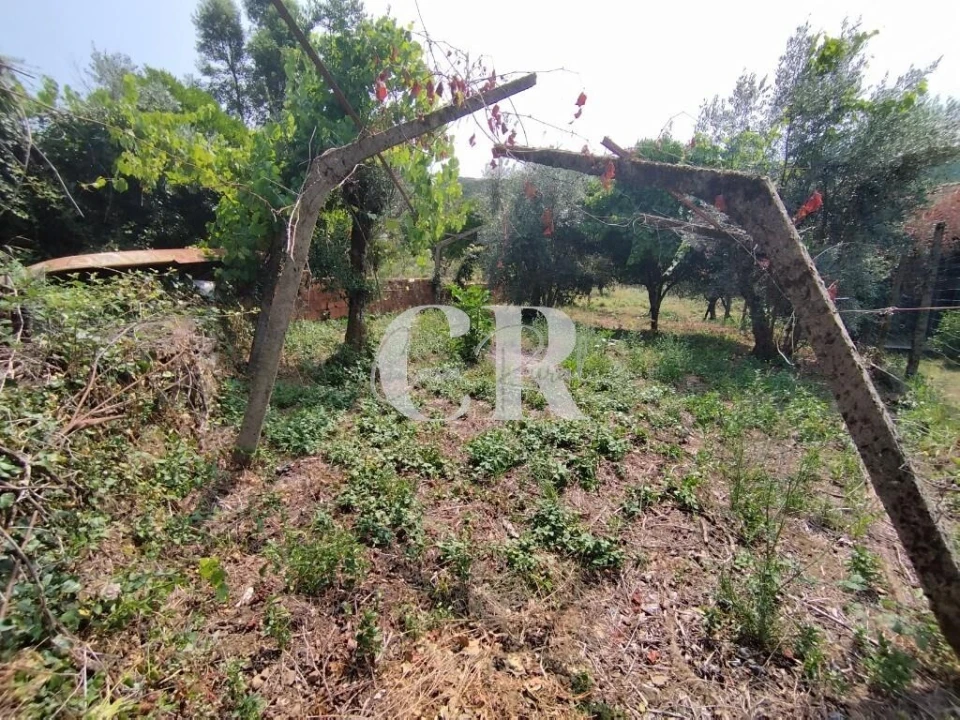 Moradia T3 para Venda em Castanheira de Pêra e Coentral Foto 52