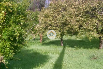 Terreno para Venda em Assafarge e Antanhol